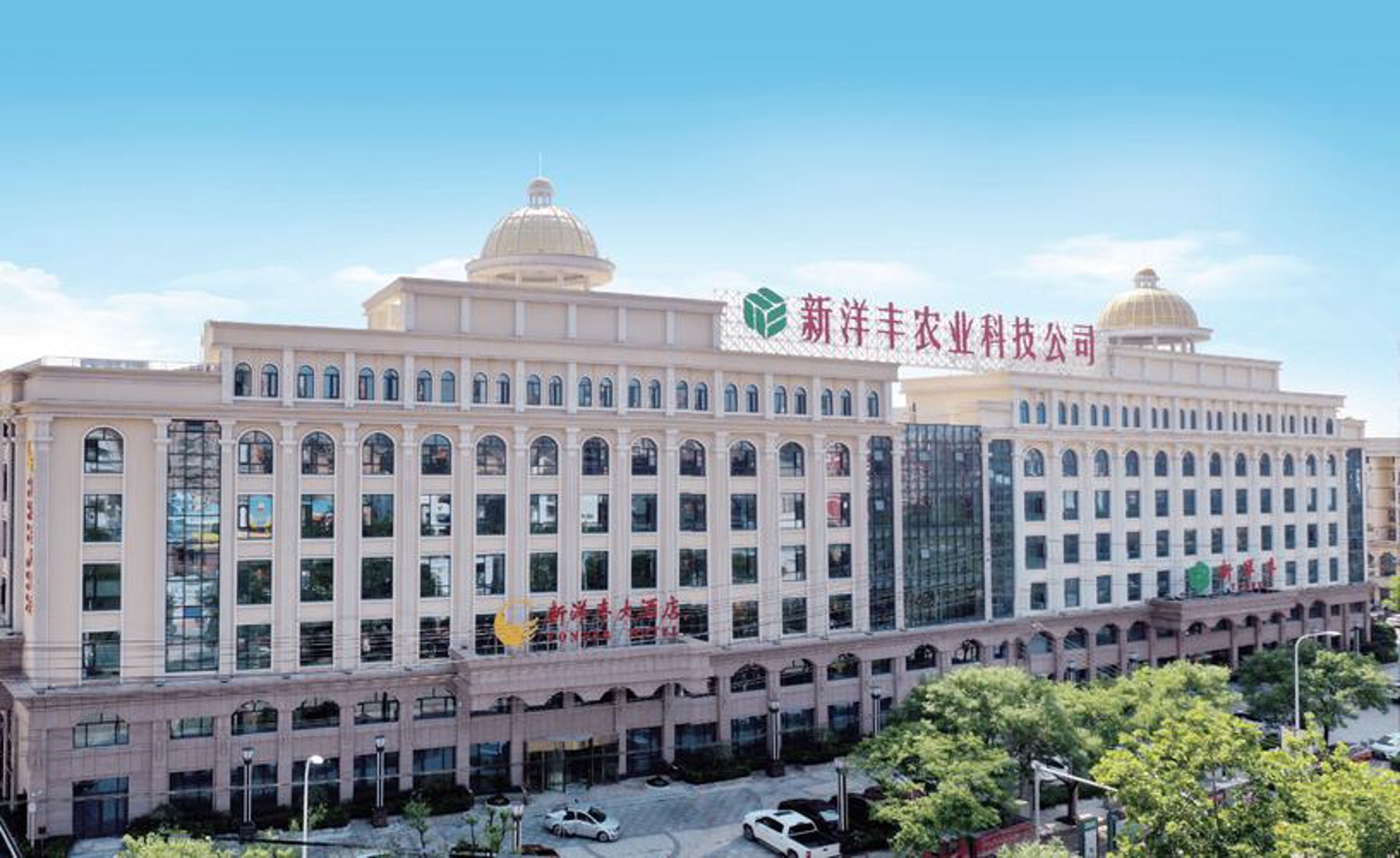 新洋科技包装